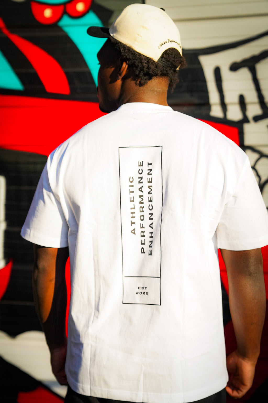The OG T-Shirt in white, back print